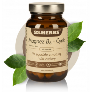 Solherbs Magnez B6 + Cynk...